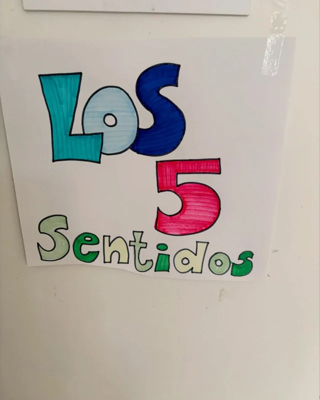 Wir #kitatrompitas machen weiter mit dem 5-Sinnen- Projekt. Die Kinder dürften vieles schmecken☺️ süß , salzig, sauer, etc. 😄